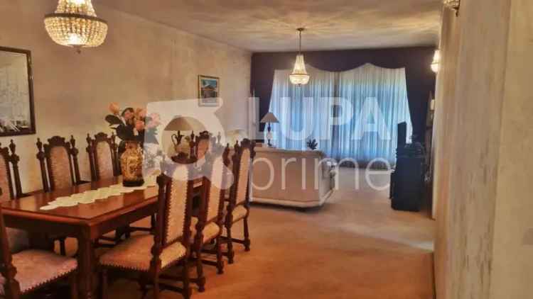 Aluguel Casa 3 Quartos 245m² Parque Novo Mundo SP