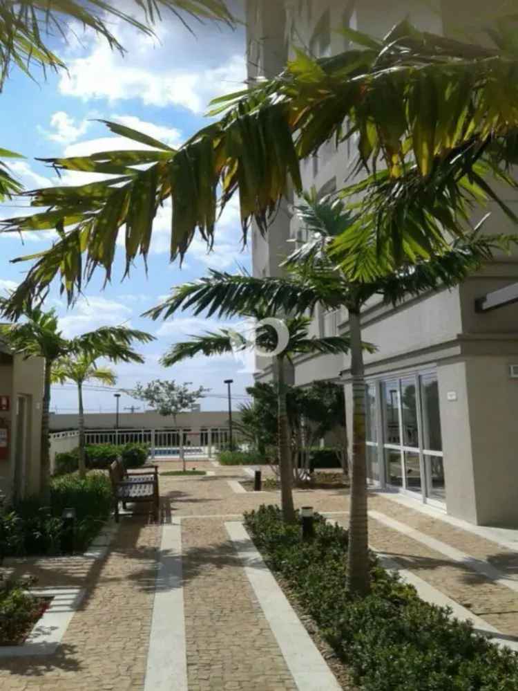 Apartamento 3 Quartos 80m² Vila Anhangüera Campinas