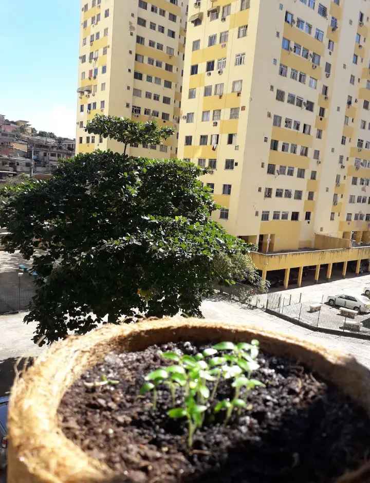 Imóvel Próximo ao Centro de Pavuna com Fácil Acesso a Ônibus