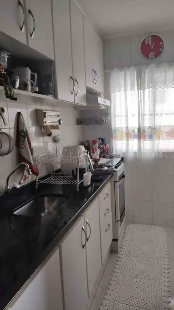 Apartamento 3 Quartos 80m2 Vila Aurocan Campinas