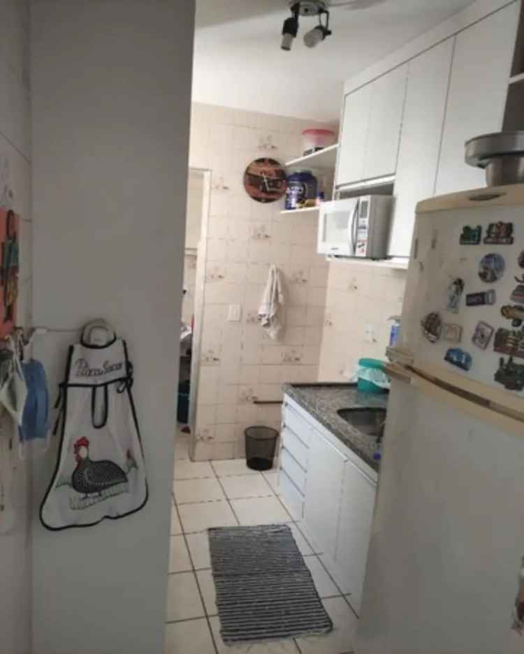 Apartamento 1 Quarto 55m2 Vila Jequitibas Campinas