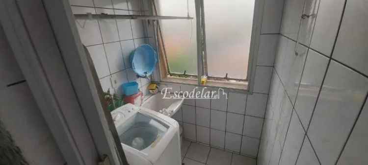 Apartamento 2 Quartos 52m² Vila Palmeiras SP