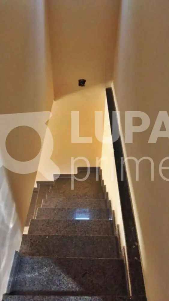 Aluguel Casa 3 Quartos Vila Ede 100m² Churrasqueira 2 Vagas