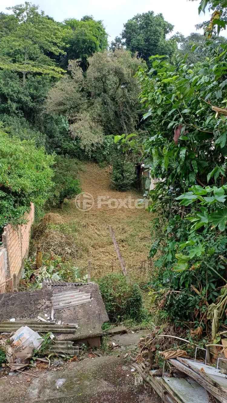Terreno 564m² Bom Jesus Porto Alegre - Alto Potencial de Valorização